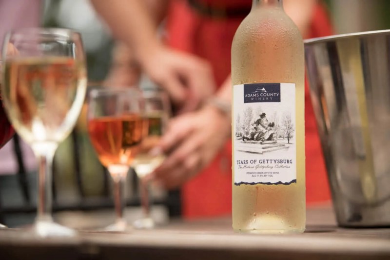 Sip, Savor, and Celebrate: Your Guide to Pennsylvania's Upcoming Beer and Wine Festivals