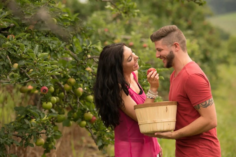 From Farm to Basket: Your Guide to Picking Pennsylvania's Freshest Produce