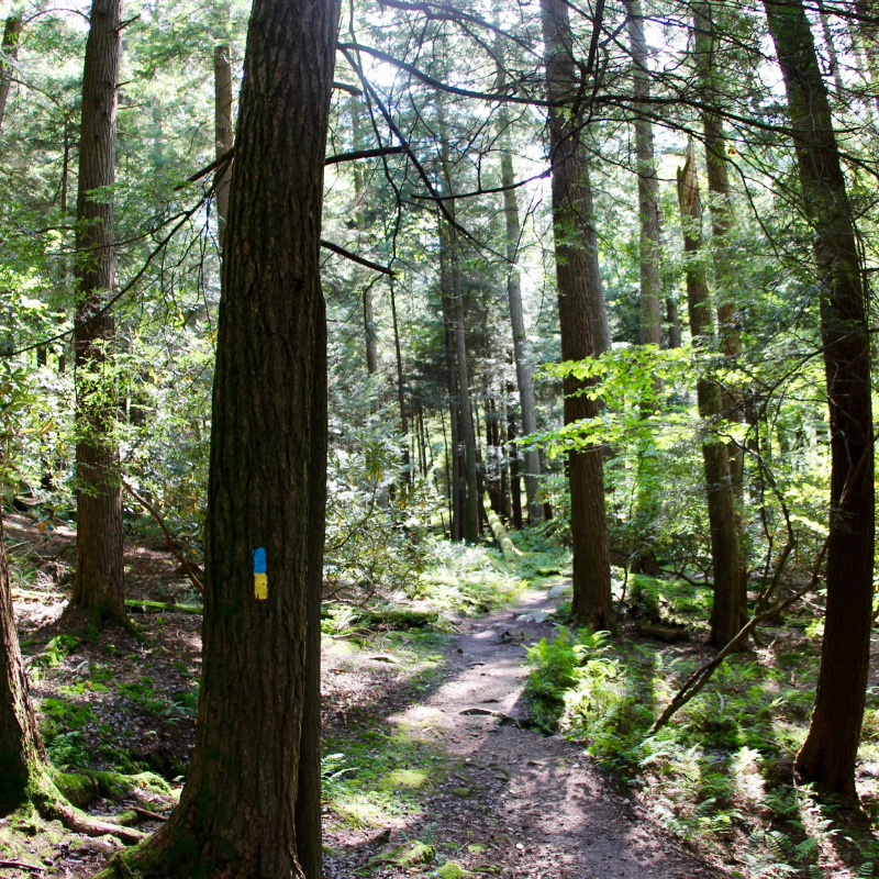 Pennsylvania landmarks you have to see (and hear) to believe