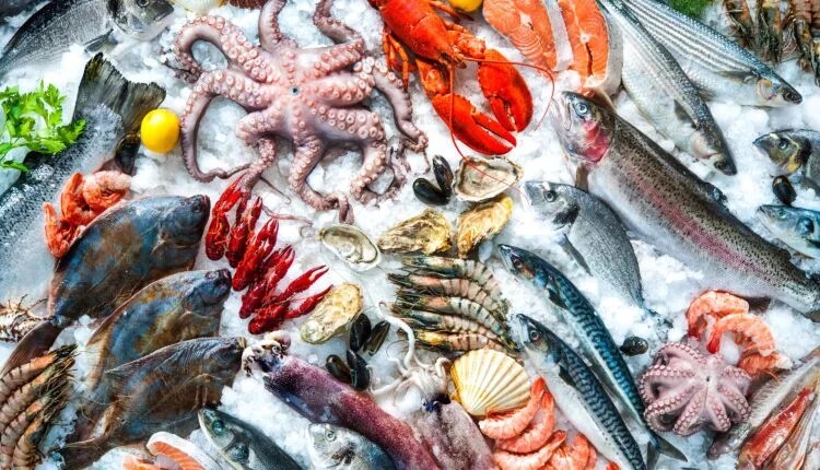 Savor NEPA’s Top 5 Seafood Gems