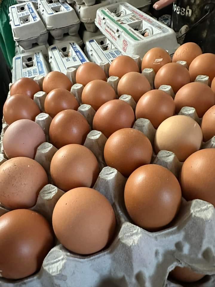 From Coop To Kitchen: Where To Buy Farm-Fresh Eggs In NEPA