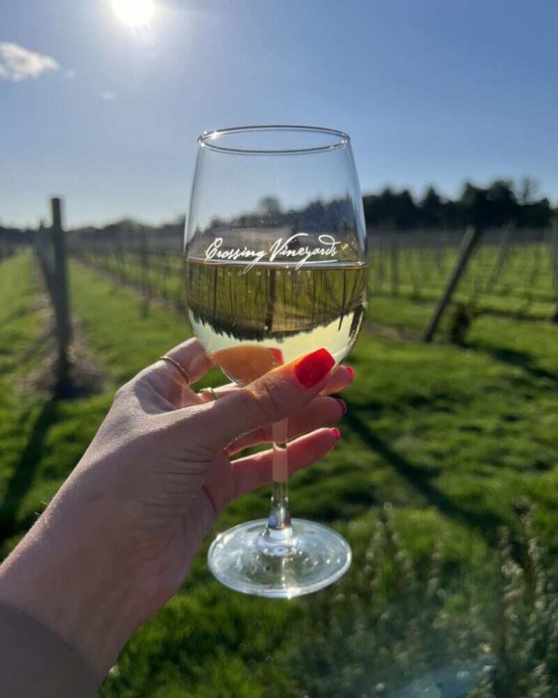 Pennsylvania Wineries To Visit On National Wine Day