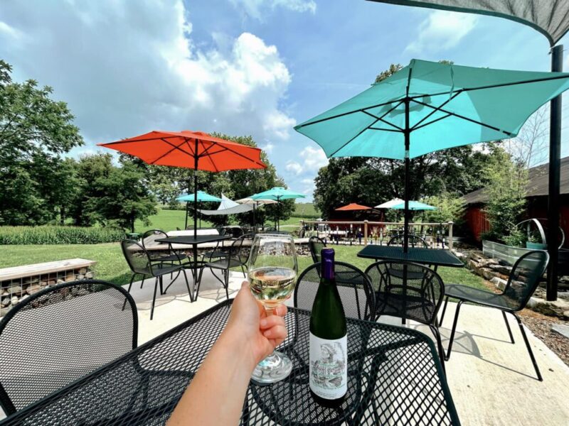 Pennsylvania Wineries To Visit On National Wine Day