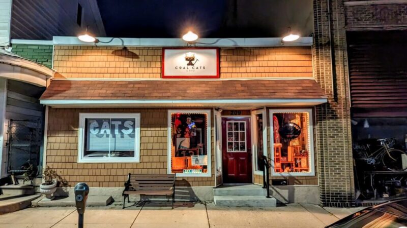 A complete cat-alog of Pennsylvania’s 20 cat cafes