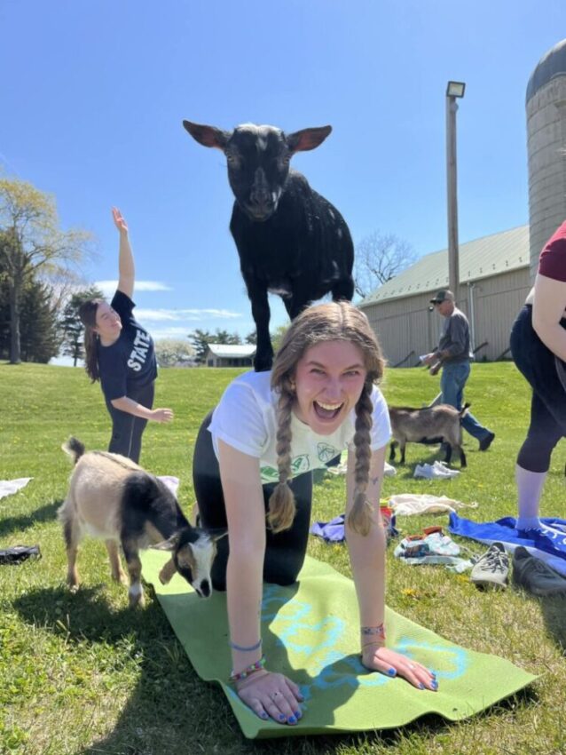 Breathe With The Bleat: 8 Places To Practice Goat Yoga In Pennsylvania
