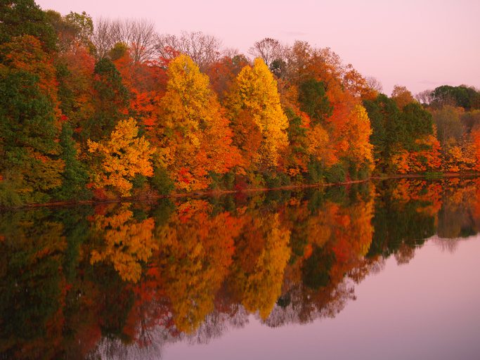 Vivid Autumn foliage is reflected in a still lake in the golden hour, with periwinkle sky. Image created at Nockamixon State Park in Quakertown, Bucks County, Pennsylvania. "Nockamixon" may mean "in the place or soft soil" in the Lenni Lenape language. DSLR image at low ISO captures magnificent fall color warmth in a horizontal format late in the day. No people. This is one of the best fishing spots in Pennsylvania