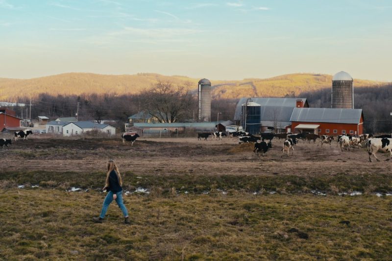 inflation reduction act