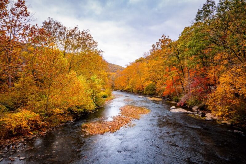 Leaf peeping in Pennsylvania: Best spots