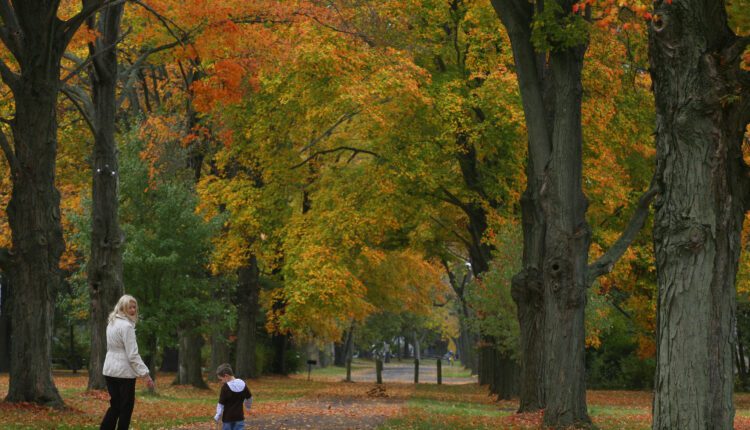 Leaf peeping in Pennsylvania: Best spots
