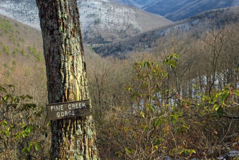 How to spend a winter’s day in the Pennsylvania Wilds