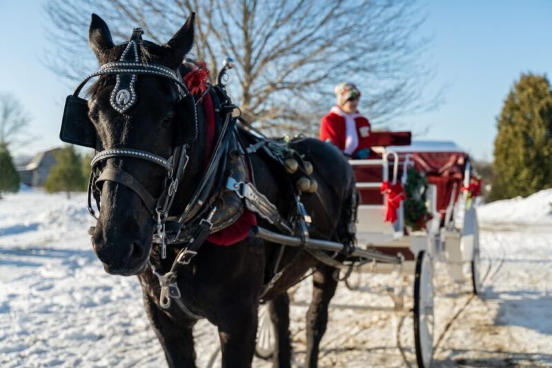 6 spots for horse-drawn sleigh rides in Pennsylvania