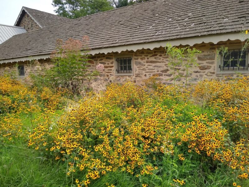 11 stunning public gardens in Pennsylvania