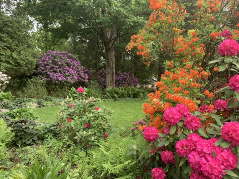 11 stunning public gardens in Pennsylvania