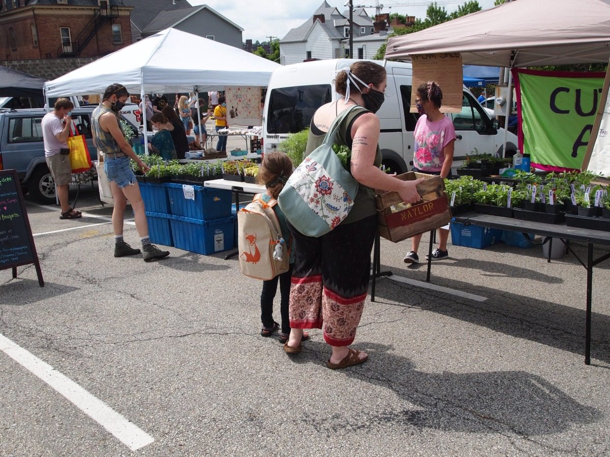 People explore wares at a farmers market