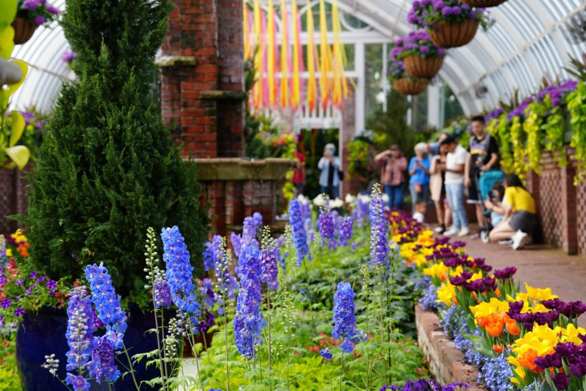 Phipps Conservatory and Botanical Gardens