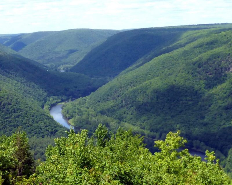 The Pine Creek Rail Trail in Lycoming and Tioga counties has been named Pennsylvania’s 2026 Trail of the Year