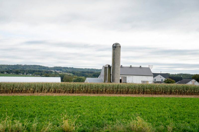 Some $126 billion has been paid by Americans since the tariffs were imposed, including a $4 billion cost for Pennsylvanians.